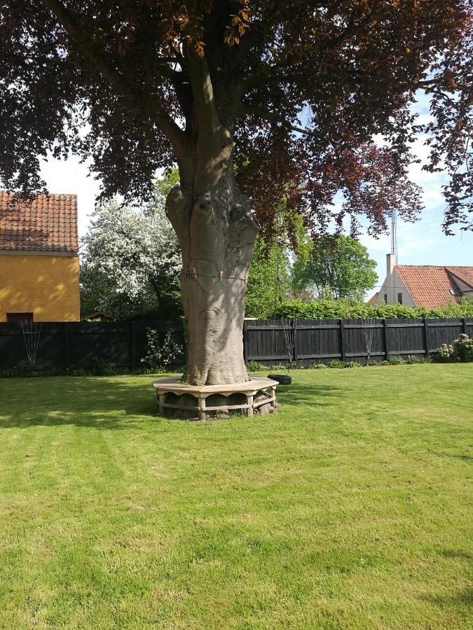مبيت وإفطار Ærøskøbing Kjobing Manor المظهر الخارجي الصورة